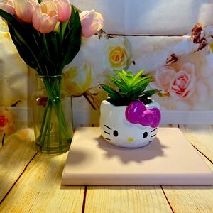 Sanrio Hello Kitty Succulent